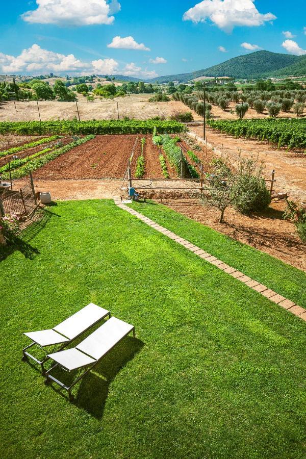 Poggiolivi Agriturismo Bio In Maremma Alberese Exterior photo